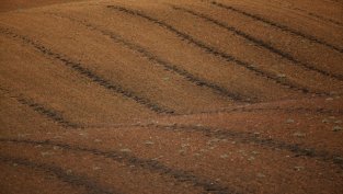 Нетната печалба на „БГ Агро“ нараства с близо 84% през първото тримесечие