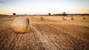 Към края на октомври Агро Финанс отдава под аренда 135 хил. дка земя