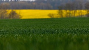 &bdquo;Агрия ГХ&ldquo; приключва 2023 г. със силно увеличение на задлъжнялостта и спад на печалбата