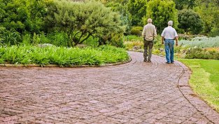 Управителят на НОИ: На този етап не е нужно по-рязко нарастване на пенсионната възраст