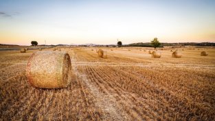 140 хил. дка земеделска земя формират портфейла на Агро Финанс към 30 януари