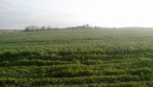 Фондовете на ПОК Доверие отново са с дял от 10% в Елана Агрокредит