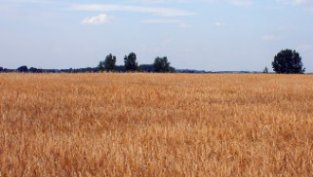 Акция на седмицата - ЕЛАРГ ФЗЗ АДСИЦ