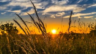 "Агрия Груп Холдинг" ще изплати 2,5 млн. лв. дивидент на акционерите