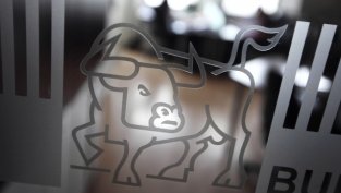 БФБ смалява загубата през 2015 г. до 314 хил. лв.