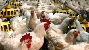 Градус увеличава нетната печалба за първото тримесечие до над 17 млн. лева