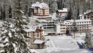 На аукцион ще бъдат предложени 55 545 права на Пампрово, или 5,16% от всички