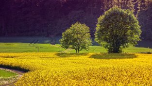 КФН е отписала "Бг Агро" като публично дружество