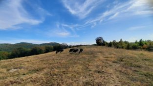 След поредица от кризи българското земеделие се готви за бавно подобрение