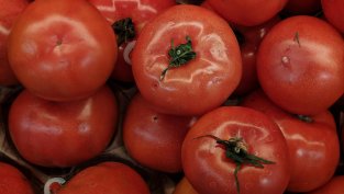 Цената на едро на доматите у нас е нараснала с 16% тази седмица