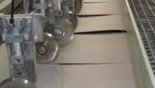 Свилоза отчете спад на дейността заради престой в производството