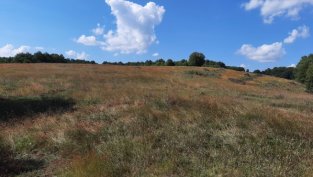 "Агрия груп холдинг" със 170% ръст на консолидираната печалба до 7,6 млн. лв.