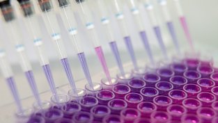 Най-добре представящата се акция в Европа е поскъпнала с 1400% тази година