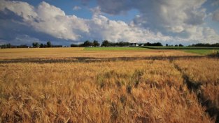 „Елана Агрокредит“ финализира първата процедура по обратно изкупуване на акции