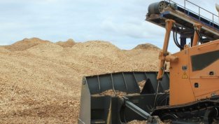 &bdquo;Фазерлес&ldquo; предлага 0,5 лв. брутен дивидент за 2018 г.