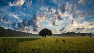 „Адванс Терафонд“ не е подписвало предварителни договори за продажба на имоти за деветмесечието