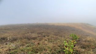 Печалбата на „Елана Агрокредит“ намалява с 5,3% за полугодието