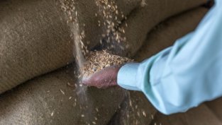 "Зърнени храни България" отчита 4% ръст на печалбата за полугодието