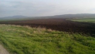 Елана Агрокредит с 47% ръст на печалбата до 3,3 ст. на акция