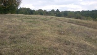 „Елана Агрокредит“ с 15% спад на финансираните сделки през май