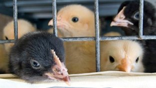 Акционерите на &bdquo;Градус&ldquo; ще обсъждат изплащането на по-голям дивидент