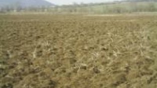 Фондовете за земя в България притежават над 160 хил. дка