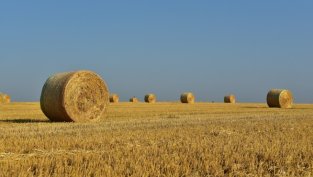 "Елана Фонд за земеделска земя" е купил 628 дка към края на март