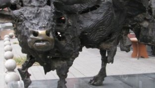 Какви козметични корекции трябва да се направят в SOFIX?