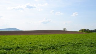 „Адванс Терафонд“ ще разпредели минимум 7,74 млн. лева като дивидент за 2024 г.