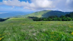 "Агро Финанс" АДСИЦ с финално търгово предложение, преди да стане обикновено АД