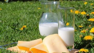 С. Присадашки: При производителите на млечни продукти у нас няма голямо движение на цените