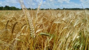 Елана Агрокредит отчете над 4% спад на тримесечната печалба