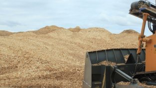 Фазерлес предлага 50% намаление на дивидента на годишна база до 0,5 лв. на акция