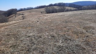 Печалбата на „Елана Агрокредит“ нараства с 5% през 2024 г. до 2,87 млн. лв.