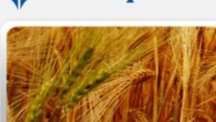 Зърнени храни България със 78% спад на продажбите