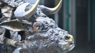 Изплащането на дивидента на БФБ започва на 15 август