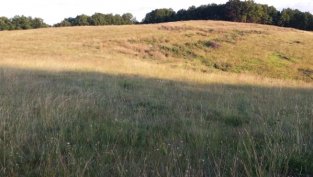 „Елана Агрокредит“ е финансирало покупки на земя за 2,9 млн. лв. през юли