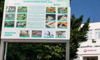 Емил Милчев: Нов европейски проект вкарва иновации във &bdquo;Веолия Енерджи Варна&ldquo;