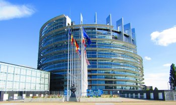 Как Европейският парламент все още може да провали сделката ЕС-Меркосур?