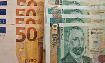 Почти половината левове са изтеглени от обращение към 9 януари