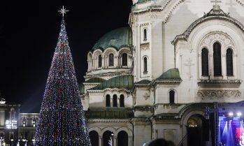 3D елхите за най-търсени на Балканите и в Централна Европа тази година