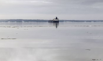 Пристанището в Новоросийск е възобновило товаренето на петрол