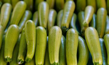 Доматите поскъпнаха с над 10% за седмица, тиквичките достигнаха 18% ръст на едро