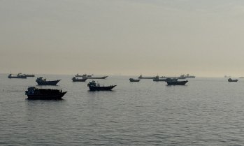 Цената на петрола се стабилизира след резкия спад*