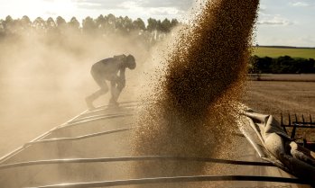 Стабилност в цените на световните пазари отчита Софийската стокова борса