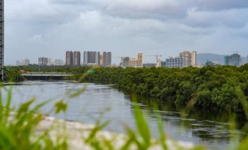 Индийски милиардери купуват компании в чужбина със забавянето на растежа у дома