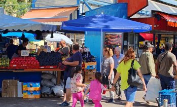 Икономиката на България забавя леко темпа си на растеж през летните месеци