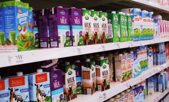 Млекопроизводители предупреждават за риск от поскъпване на млечните продукти