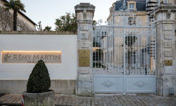 Силното търсене на коняк в Азия стимулира продажбите на Remy Cointreau