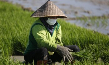 Кадър на деня за 12 януари